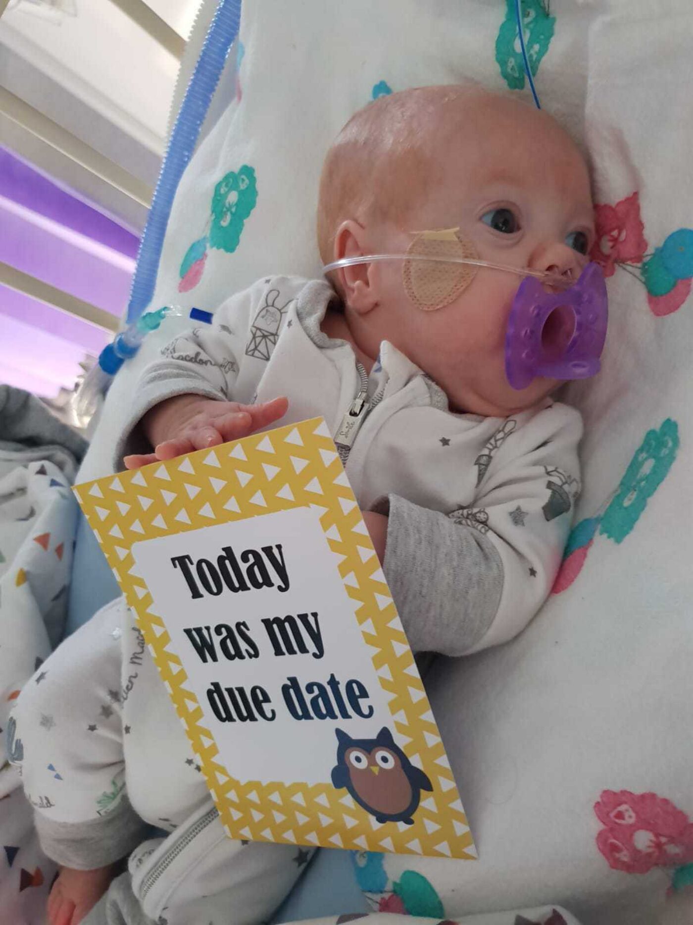 Fundraising for Noah’s Ark Children’s Hospital for Wales