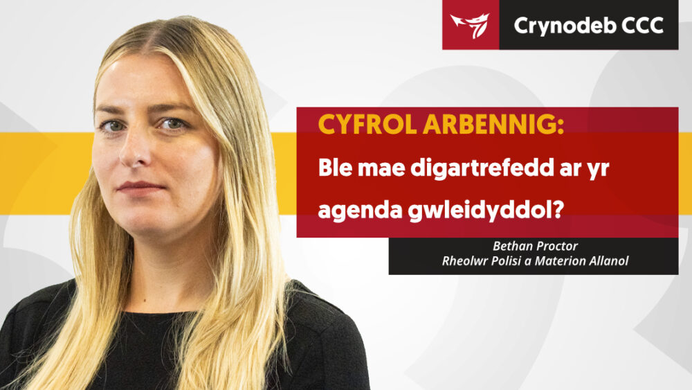 Ble mae digartrefedd ar yr agenda gwleidyddol?