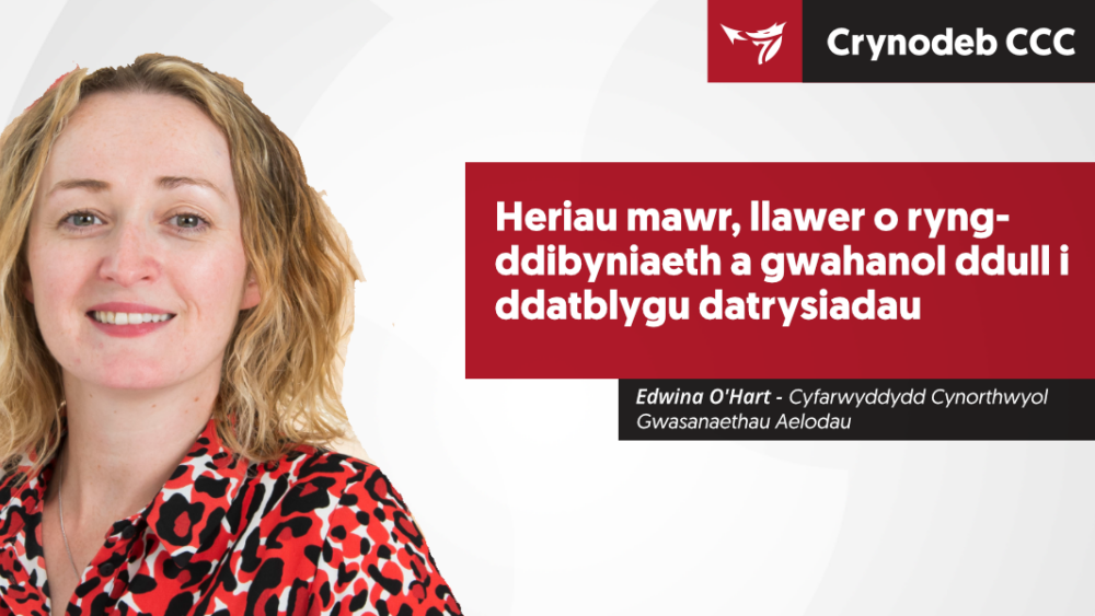 Heriau mawr, llawer o ryng-ddibyniaeth a gwahanol ddull i ddatblygu datrysiadau