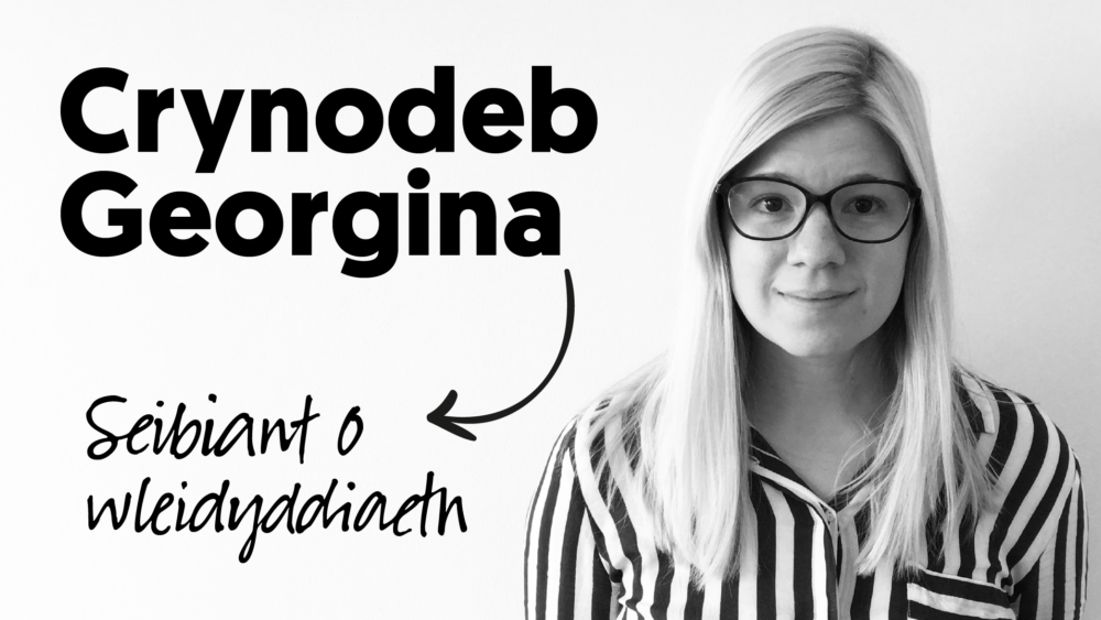 Seibiant o wleidyddiaeth