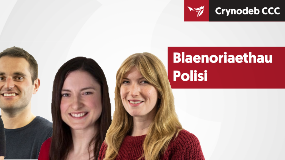 Blaenoriaethau Polisi