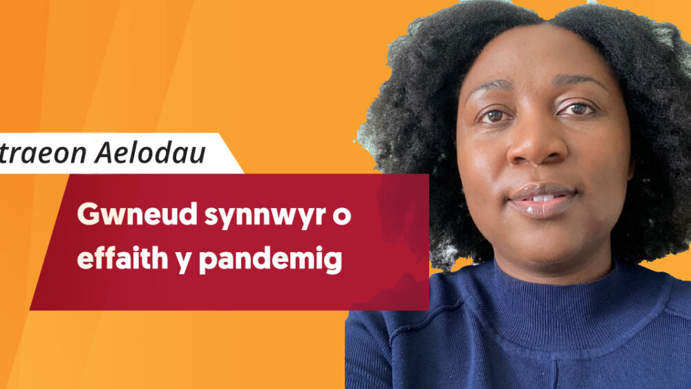 Gwneud synnwyr o effaith y pandemig